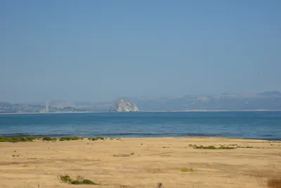 DSC_2500 (Large).JPG